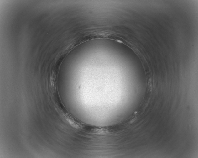 X0000081560424200701151005