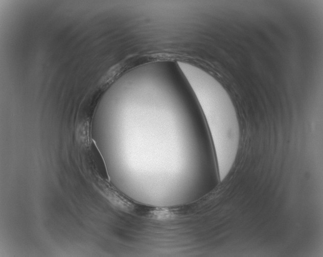 X0000081560425200701151004