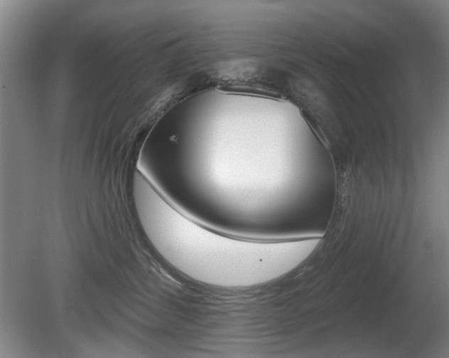X0000081560428200701151004