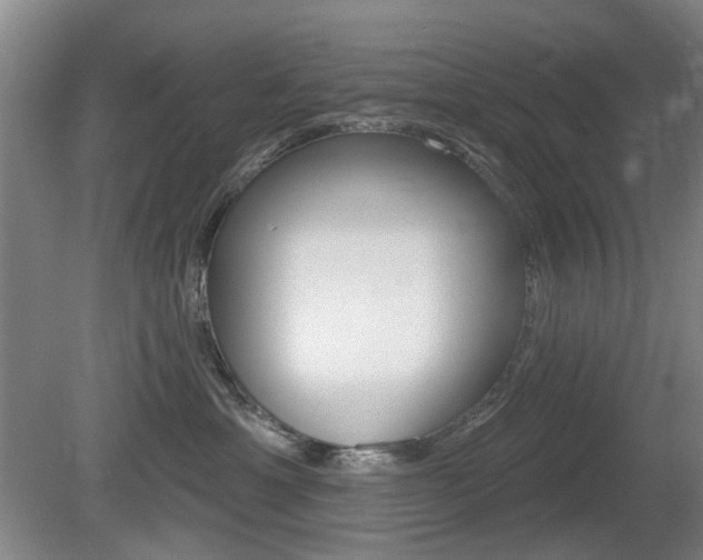 X0000081560429200701151004