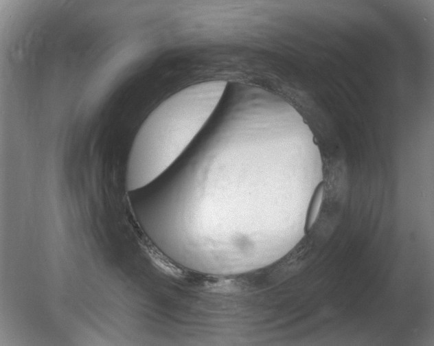 X0000081560430200701151004