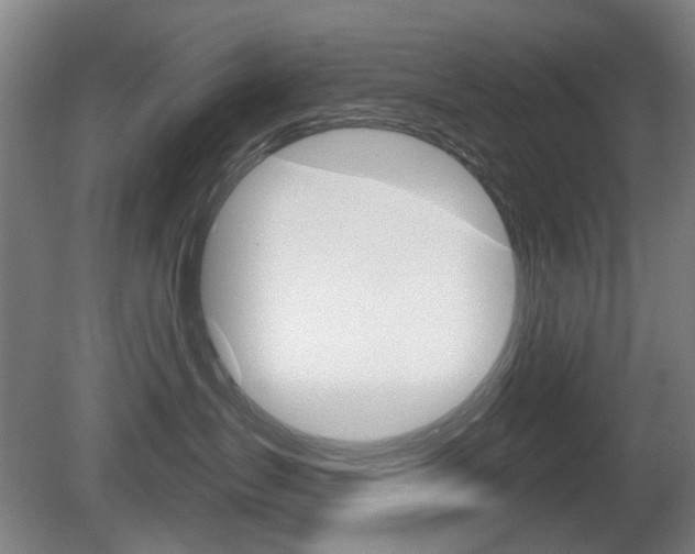 X0000081560431200701151004