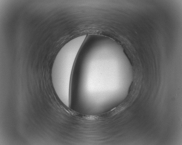 X0000081560432200701151004