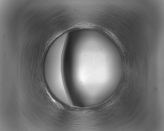 X0000081560433200701151004