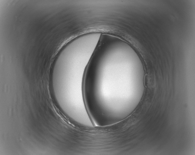 X0000081560434200701151004