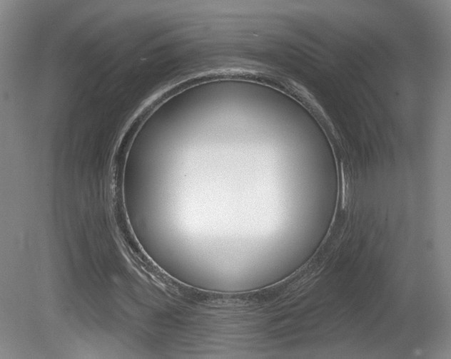 X0000081560435200701151004