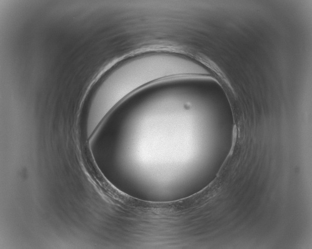 X0000081560436200701151004
