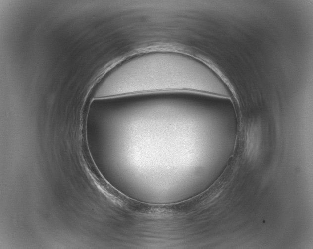 X0000081560437200701151004