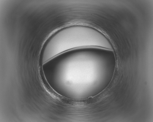 X0000081560438200701151004