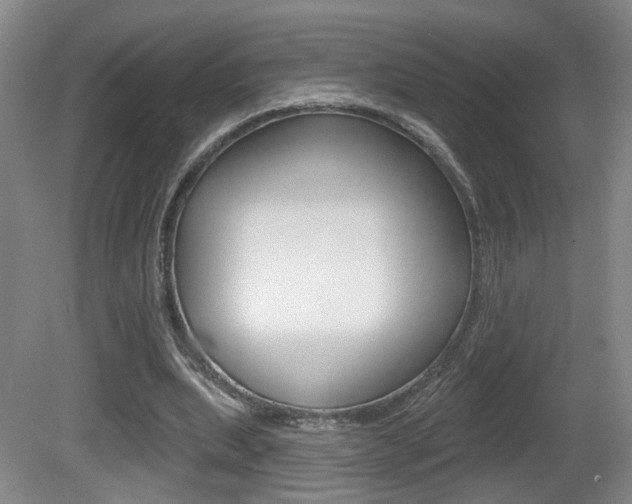 X0000081560439200701151004