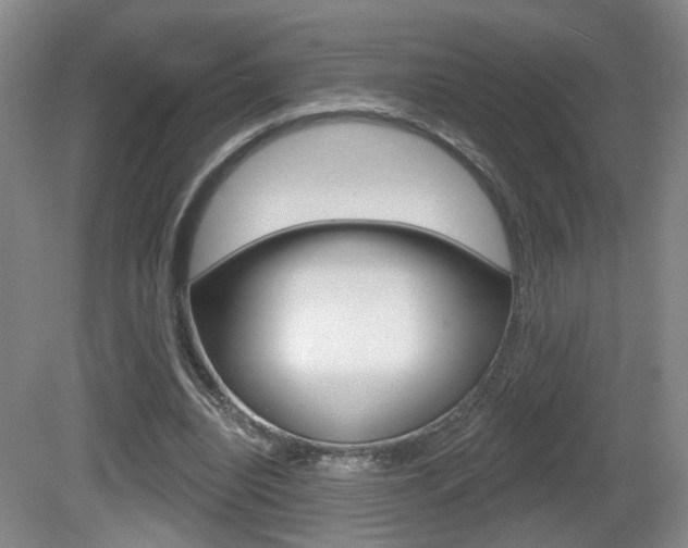 X0000081560440200701151004