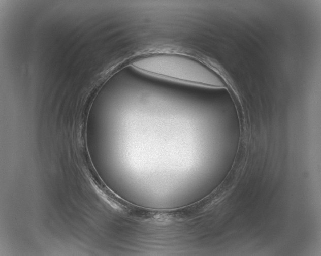 X0000081560441200701151004