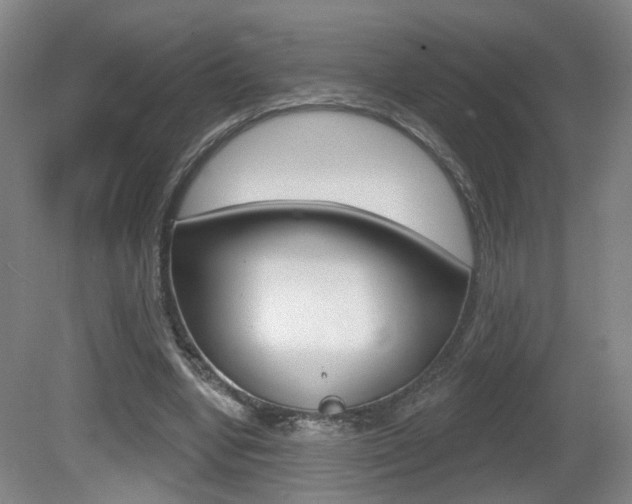 X0000081560442200701151004