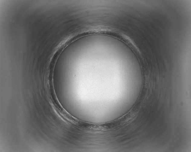 X0000081560443200701151004
