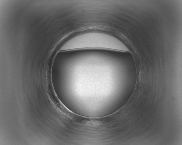 X0000081560444200701151004