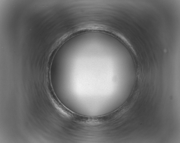 X0000081560445200701151004
