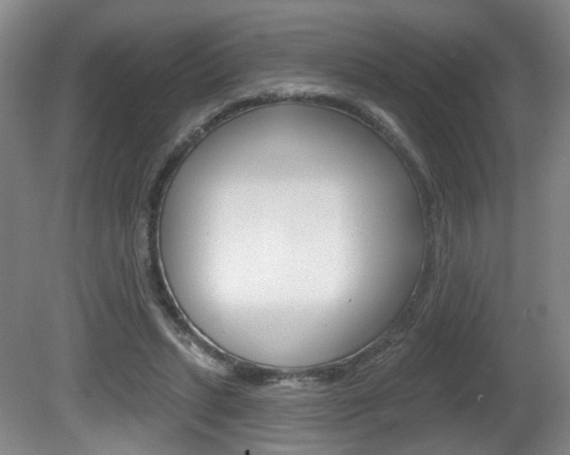X0000081560447200701151004