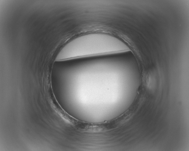 X0000081560449200701151004