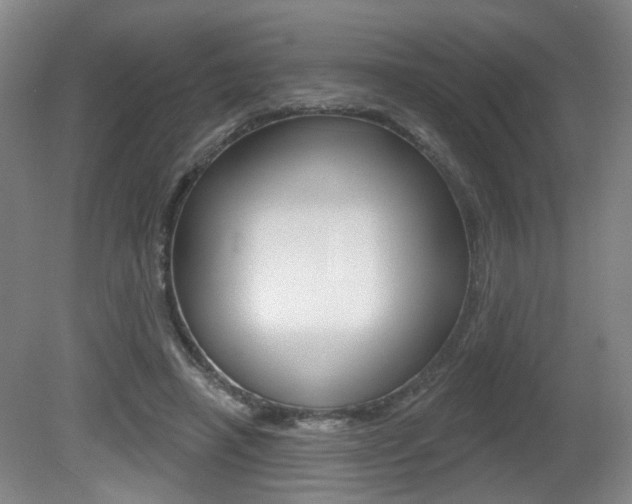 X0000081560450200701151004