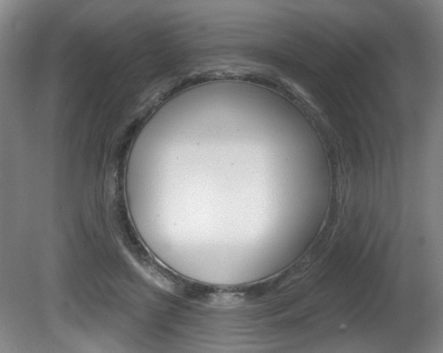 X0000081560451200701151004