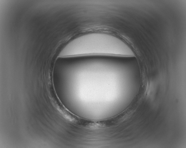 X0000081560453200701151004