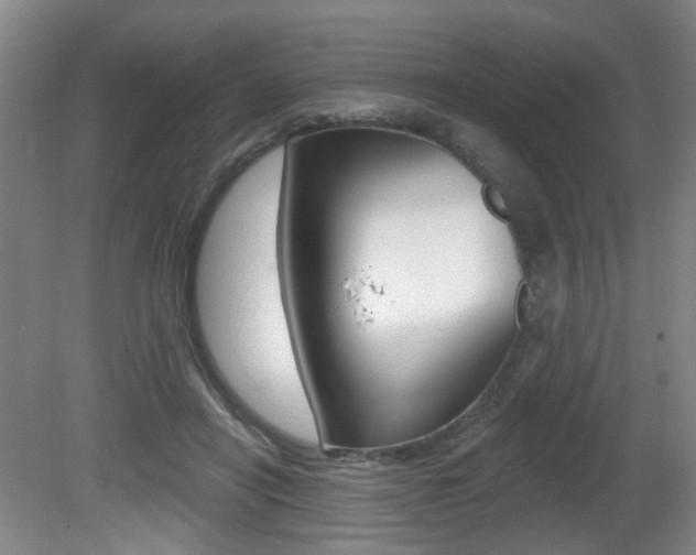 X0000081560454200701151004