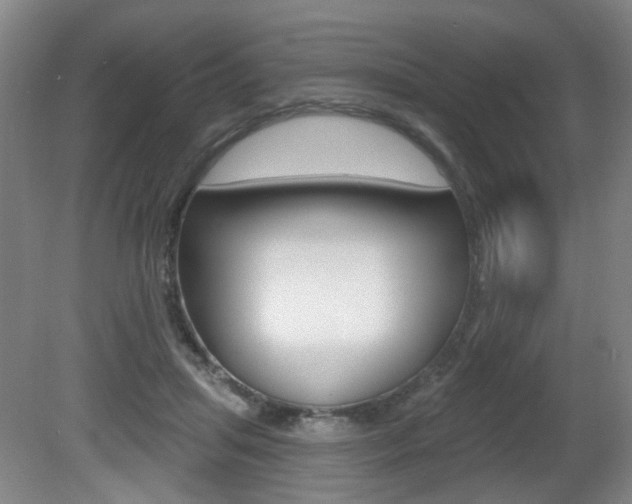 X0000081560455200701151004