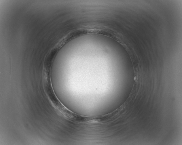 X0000081560456200701151004