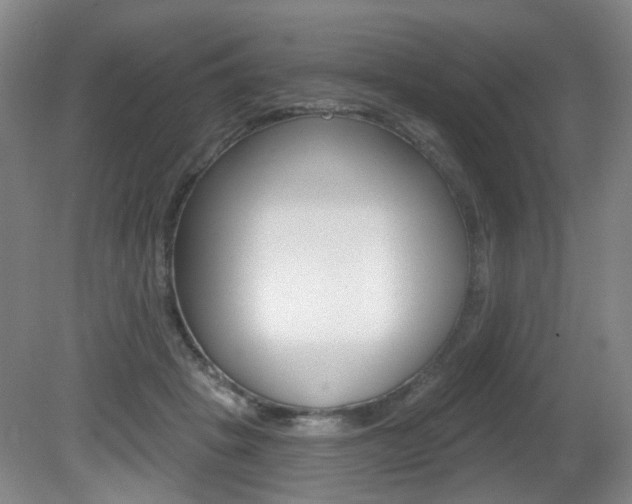 X0000081560457200701151004