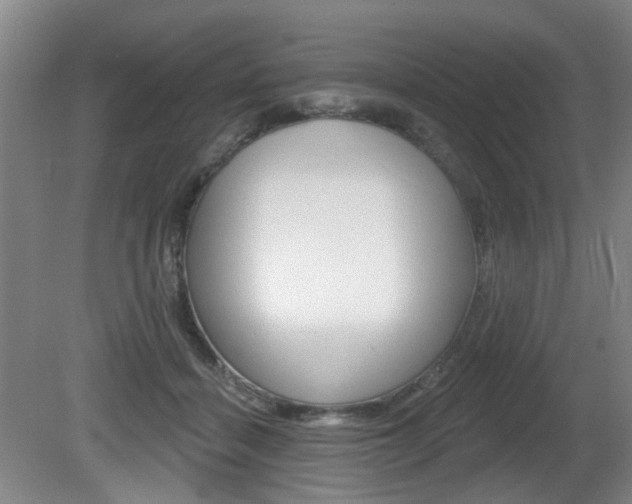 X0000081560460200701151004