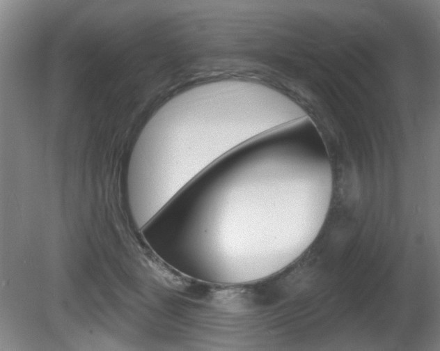 X0000081560461200701151004