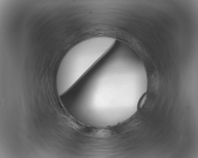 X0000081560463200701151004