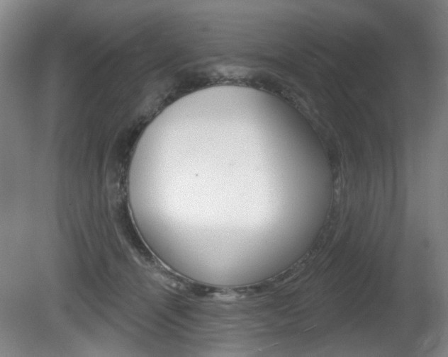 X0000081560464200701151004
