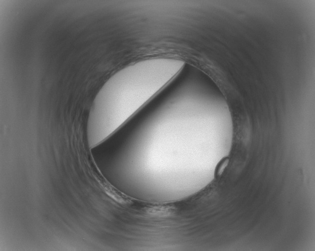 X0000081560465200701151004