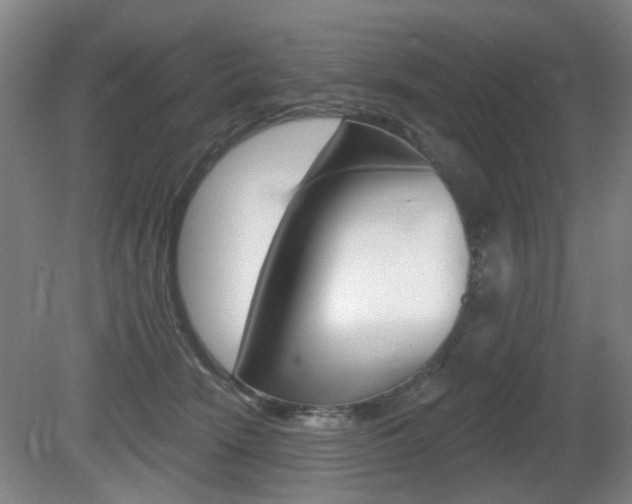 X0000081560466200701151004