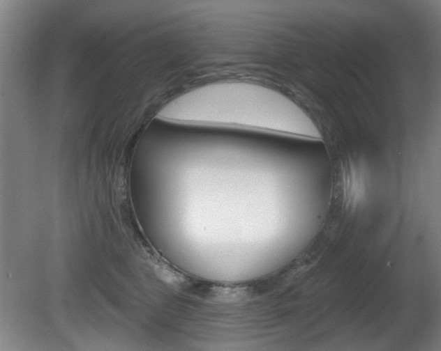 X0000081560469200701151004