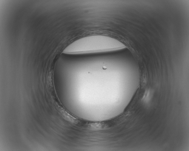 X0000081560473200701151004