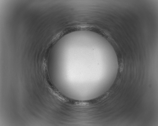 X0000081560476200701151004