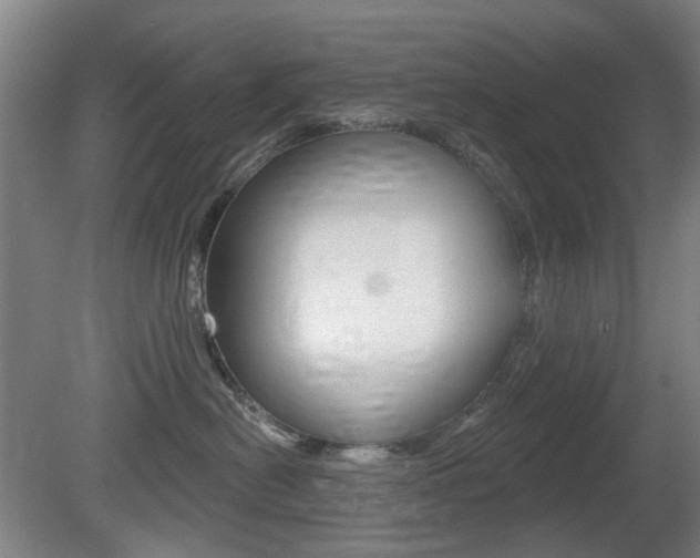 X0000081560478200701151004
