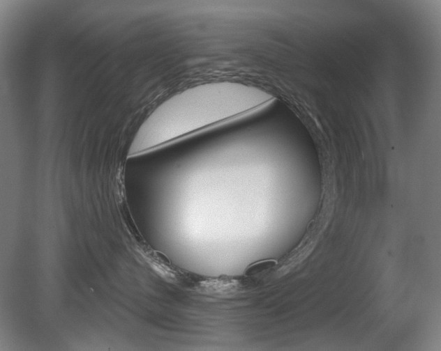 X0000081560480200701151004
