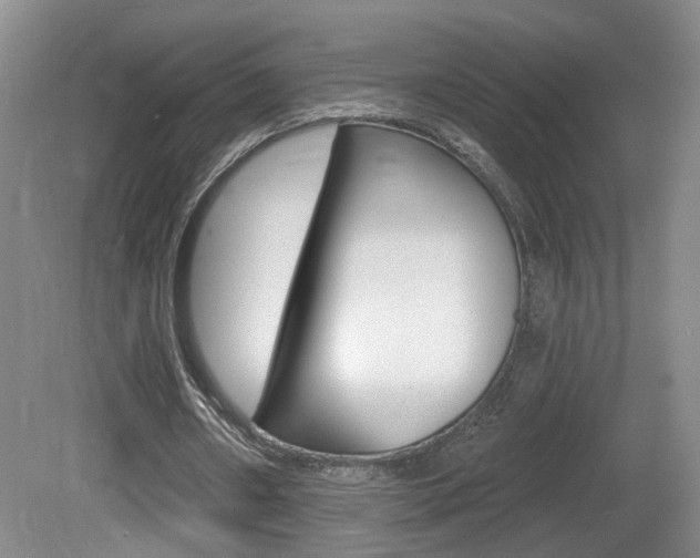 X0000081560482200701151004