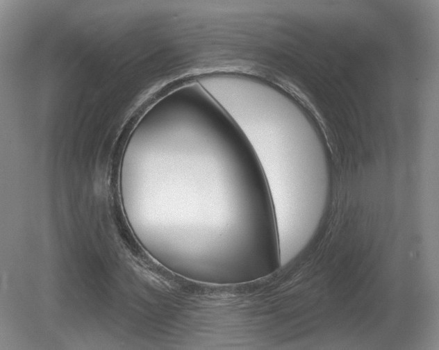 X0000081560483200701151004