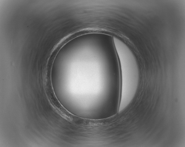 X0000081560484200701151003