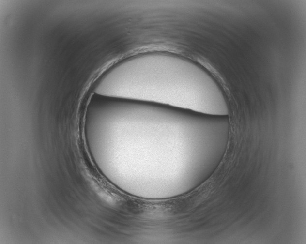 X0000081560486200701151003