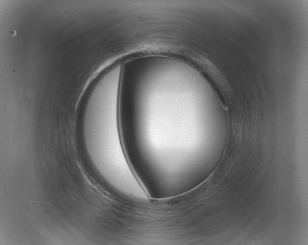 X0000081560488200701151003