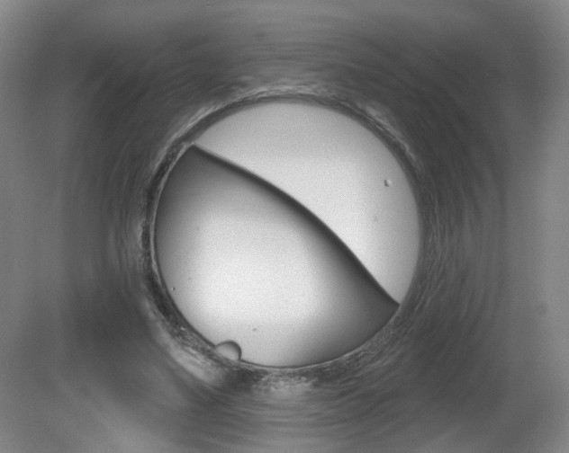 X0000081560491200701151003