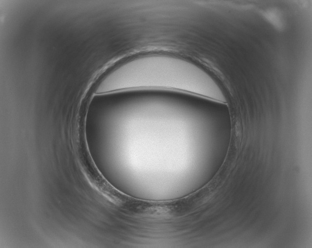 X0000081560492200701151003