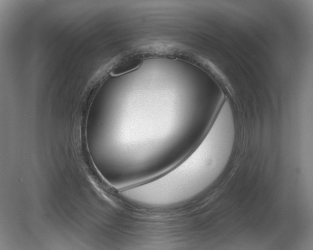 X0000081560493200701151003