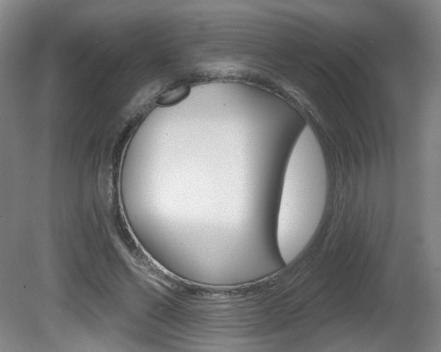 X0000081560494200701151003