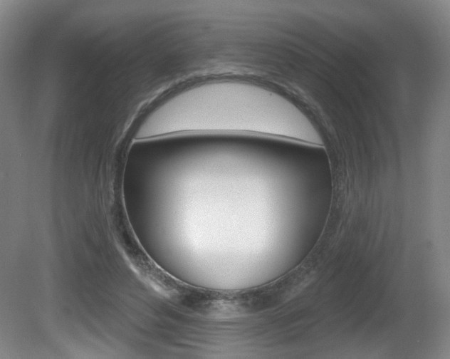 X0000081560496200701151003